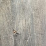 Maple, Pewter