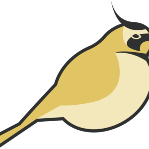 Lark logo icon